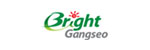 Bright Gangseo